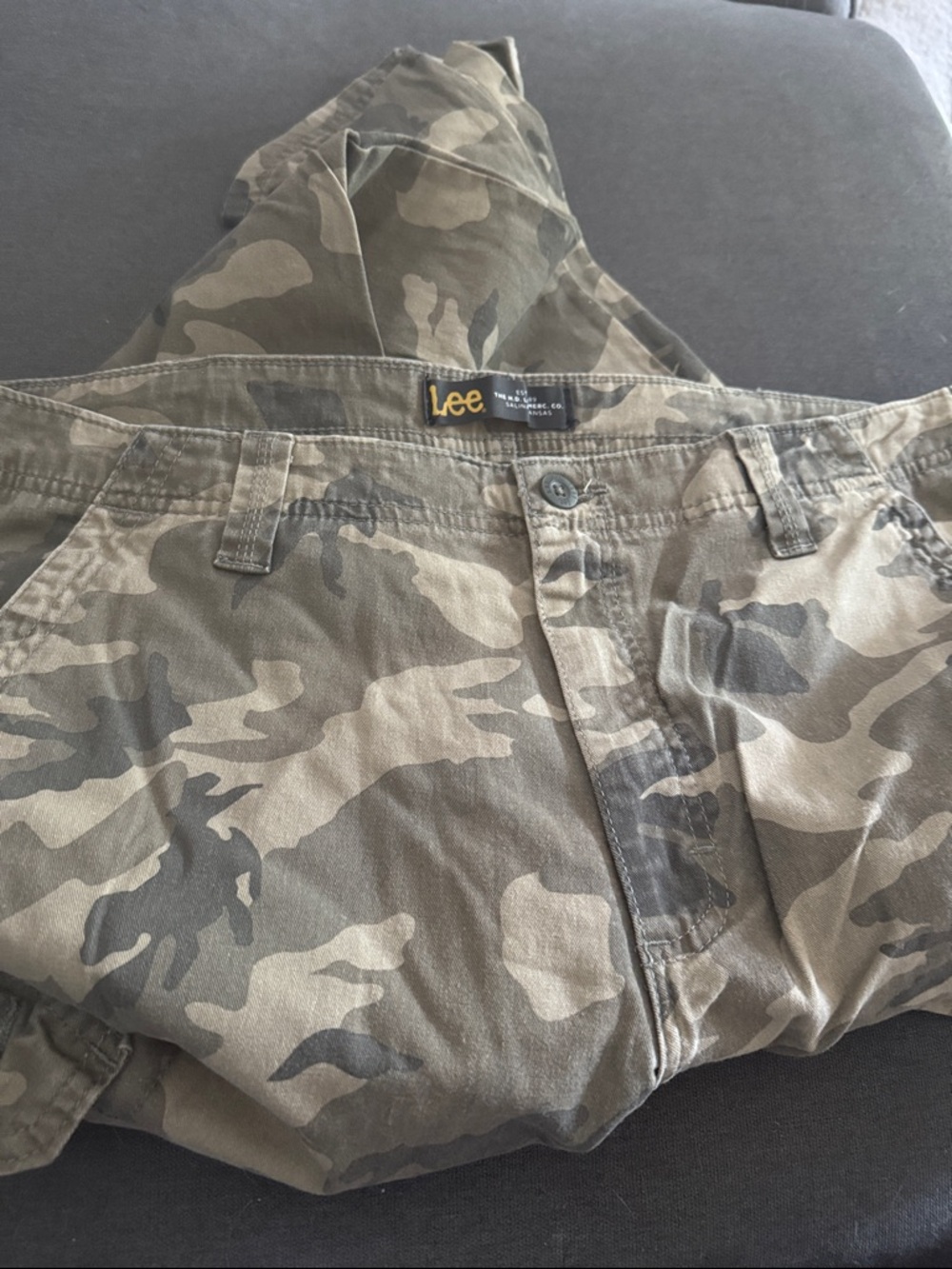 Lee Men's Green and Tan Camo Cargo Pants